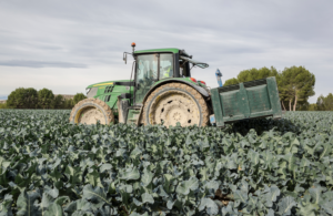 Del campo a la mesa europea