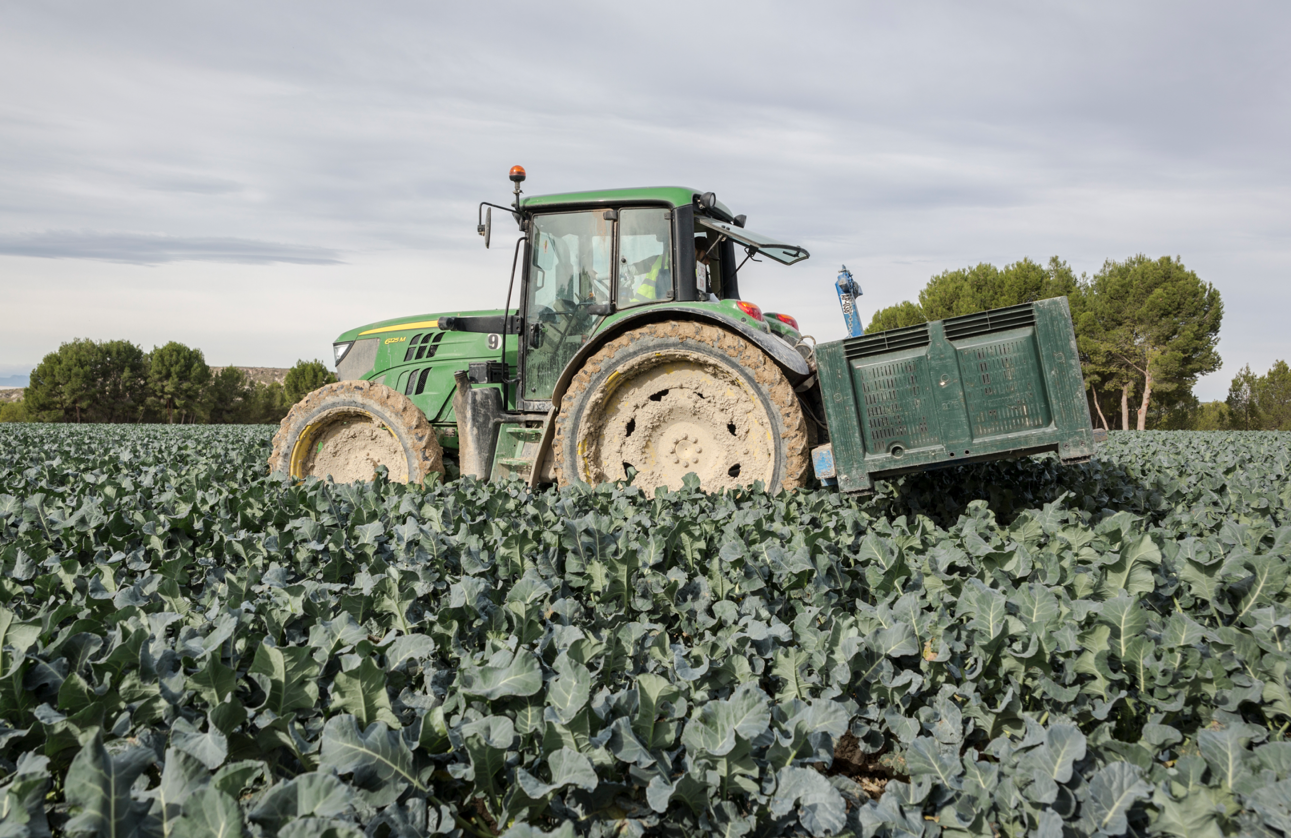 Del campo a la mesa europea