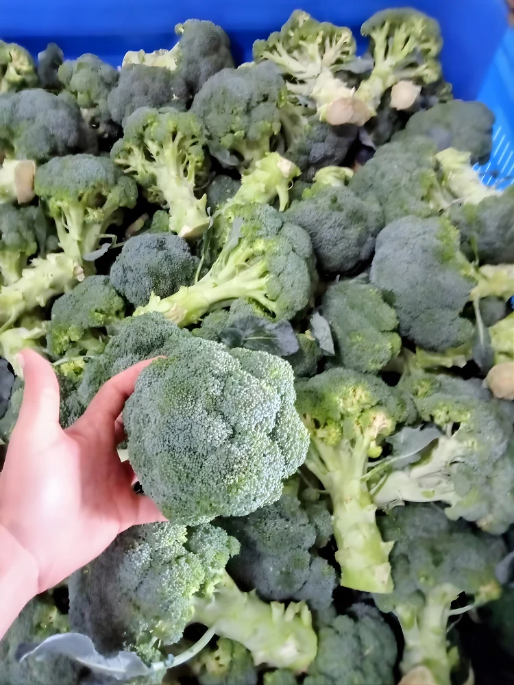 Esto no es solo un brócoli