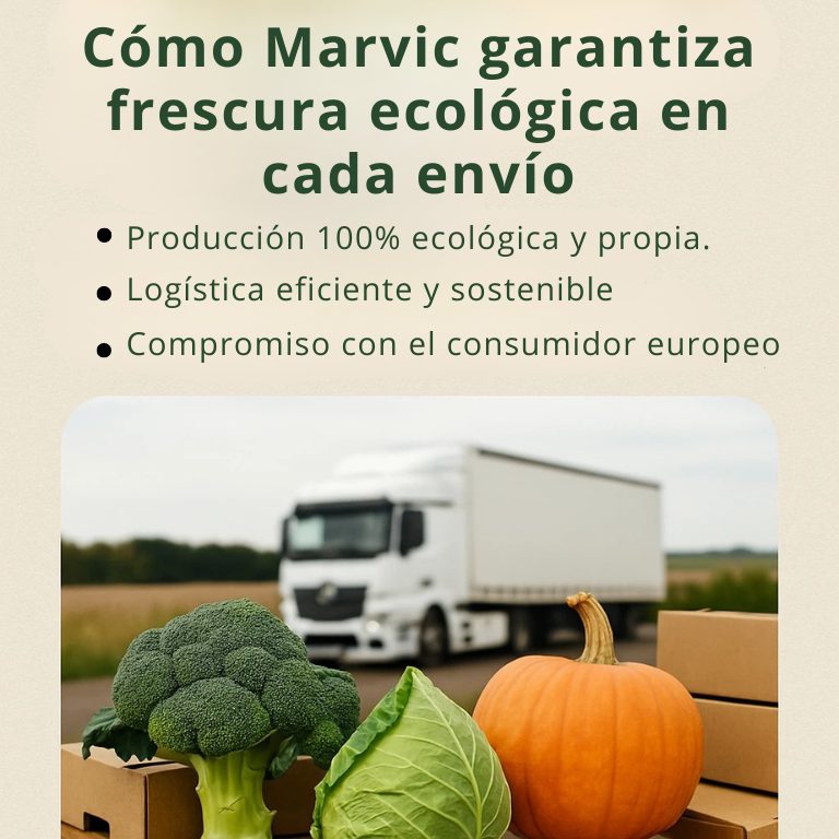 Del campo a la mesa europea: cómo Marvic garantiza frescura ecológica en cada envío