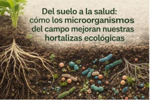 del suelo a la salud